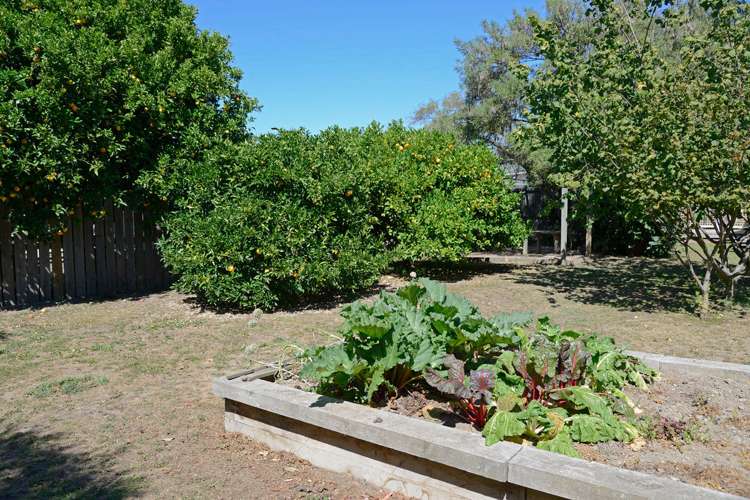 9a Cologne Street Martinborough_14