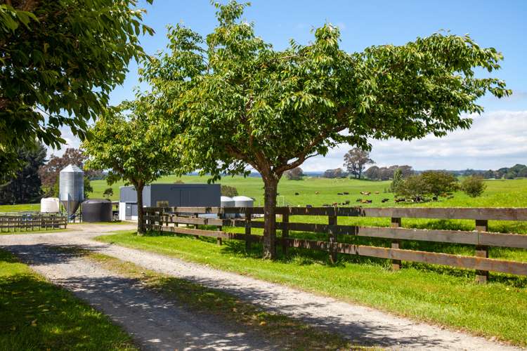 3069 Old Taupo Road Tokoroa_5