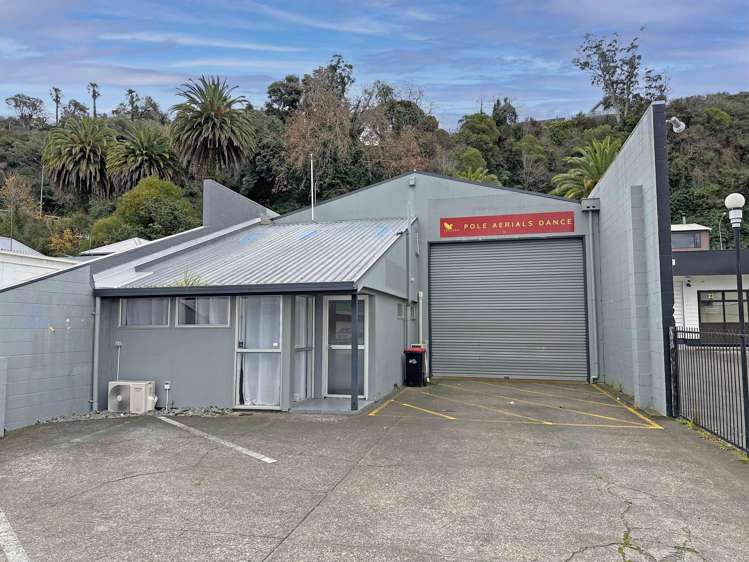 25 Carlyle Street Napier South_8