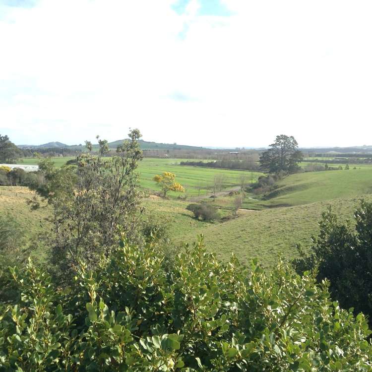 2594 River Road Tuakau_3