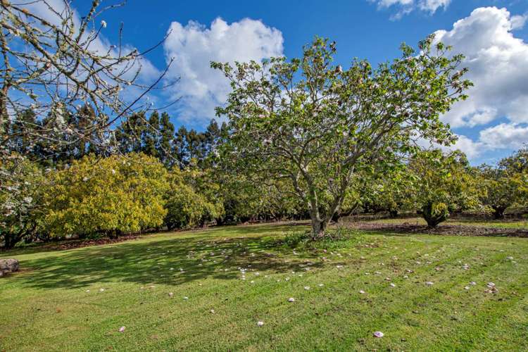 131 Tatton Road Maungatapere_14