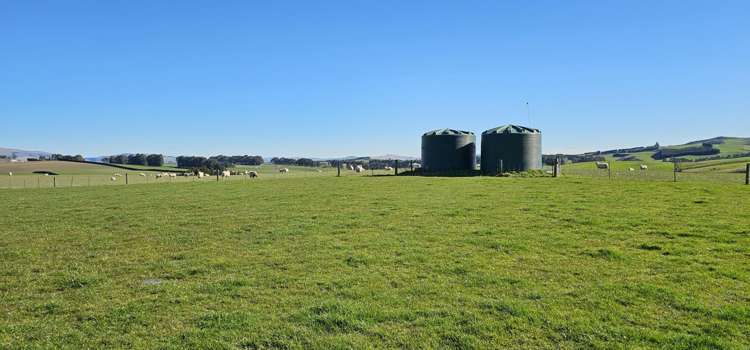 565 Bushy Park Road Waikaka_15