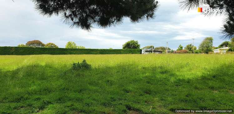 22 Stafford Street Hampden_9