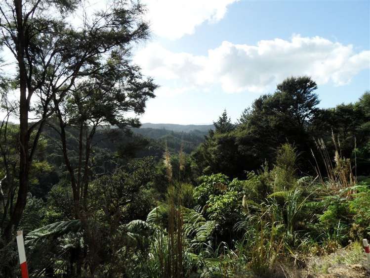 Paihia Road Paihia_3