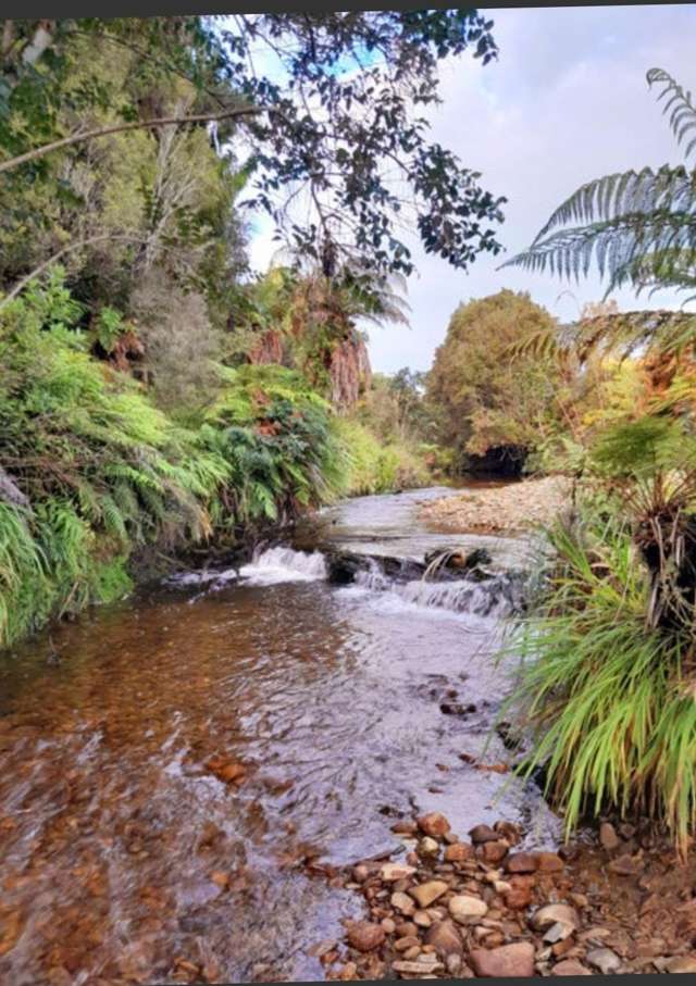 8/247 Blue Spur Seaview_2