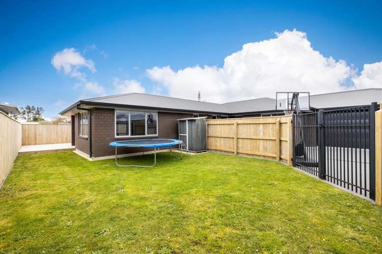 11a Cutfield Street Inglewood_7