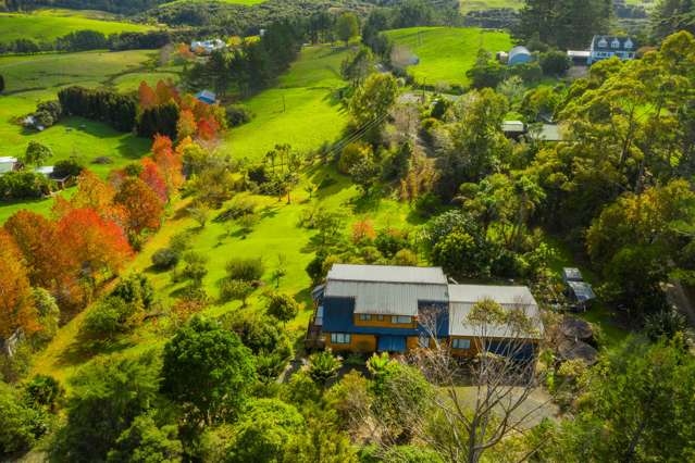 428a Blackbridge Road Dairy Flat_3