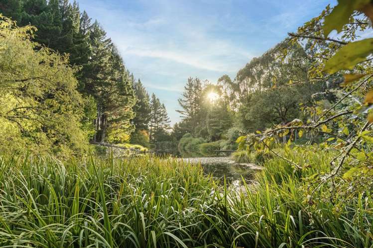 38 Paengaroa Road Taihape_3