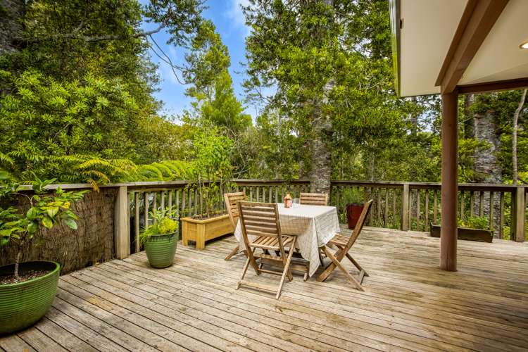 73e Konini Road Titirangi_11