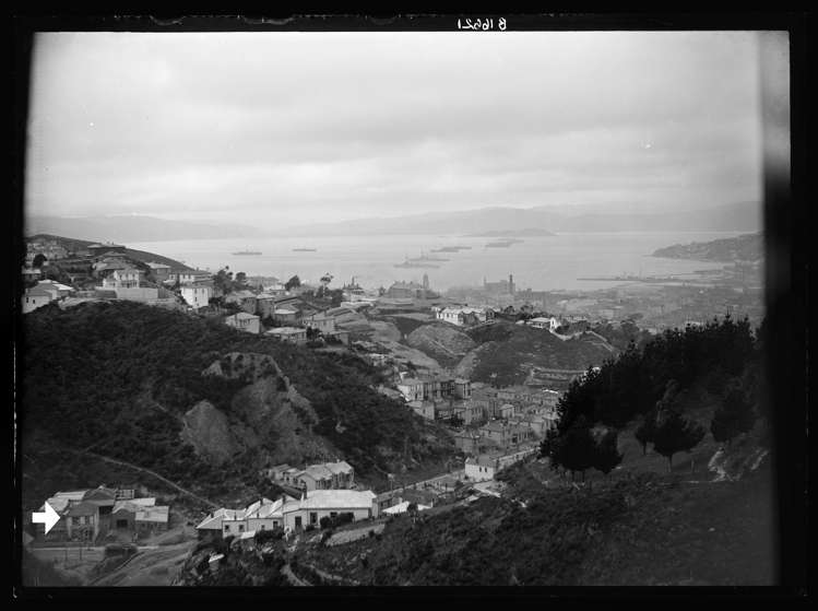 166 Aro Street Aro Valley_21