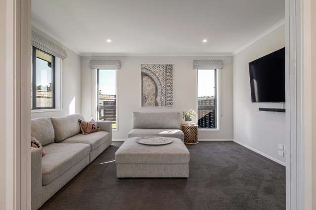 33 Monarch Drive Ashhurst_3