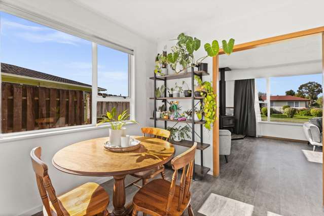 31 Plunket Street Tamatea_3