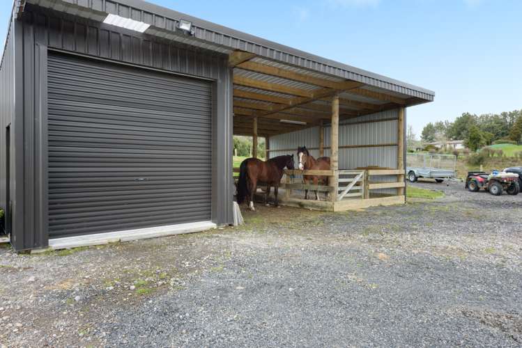 81 Leyland Road Whakamarama_19