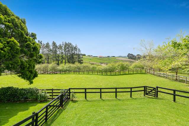 298 Rimmer Road Helensville_3