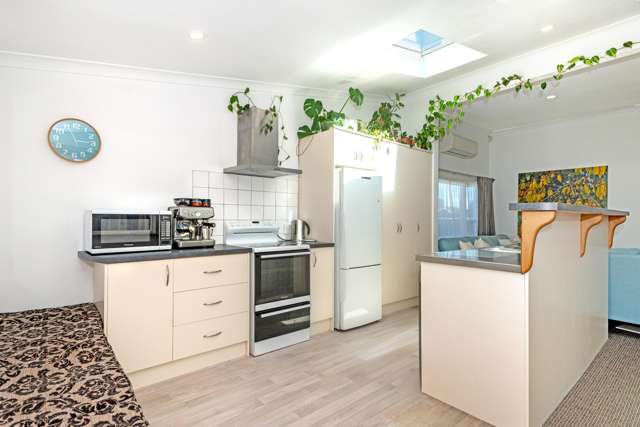 43 Russell St Whataupoko_1