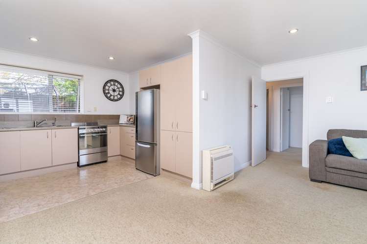 179 Highcliff Road Shiel Hill_6