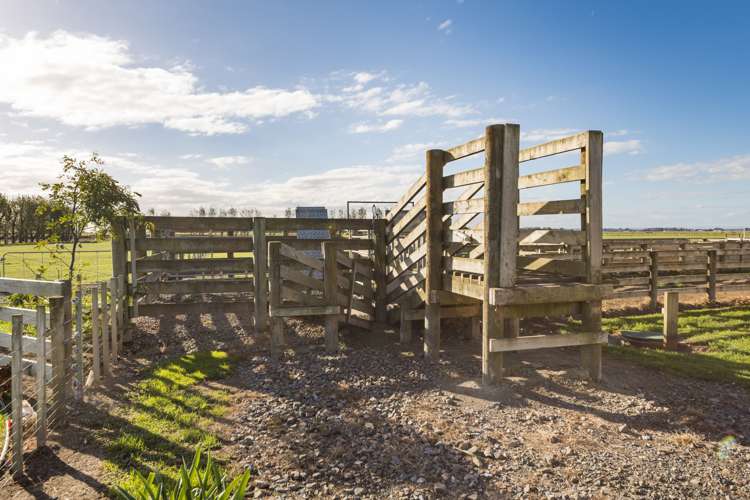 1043 Lockwood Road Kairanga_20