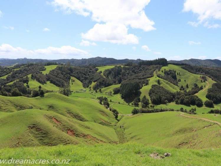 242 Owae Road Russell Surrounds_16