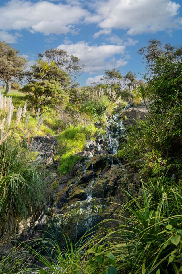 310 Robinson Road Whangarei Heads_2