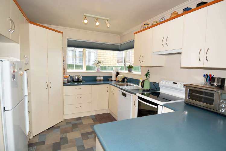 216 Teviot Street Georgetown_7