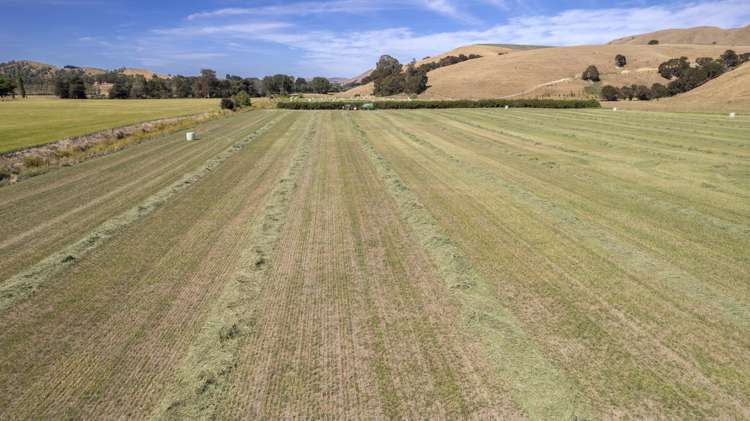 1231 Longbush Road Longbush_13