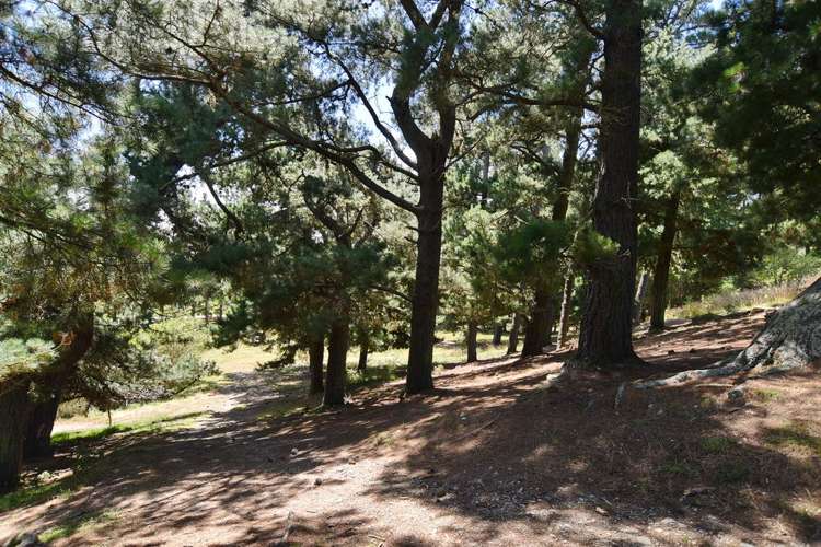 1392 Oxford Road Cust_30