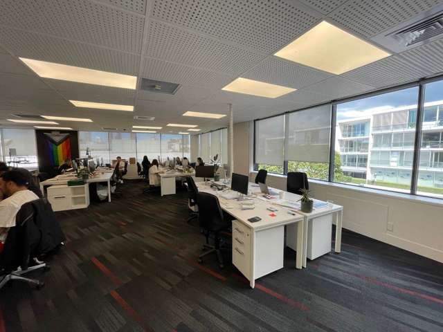 33 College Hill Freemans Bay_3