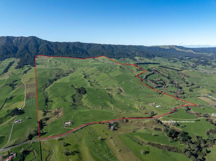 134 Old Te Aroha Road Te Poi_0