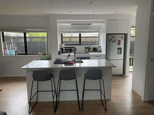 22B Gavin Street Ellerslie_1