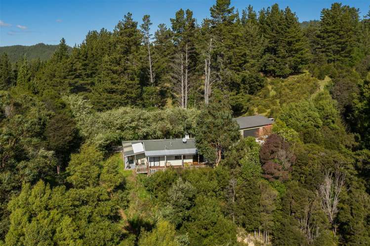 311 Onamalutu Road Wairau Valley_31