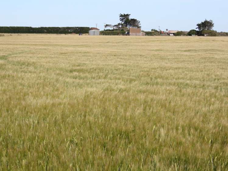 107 Gullivers Road Southbridge_16