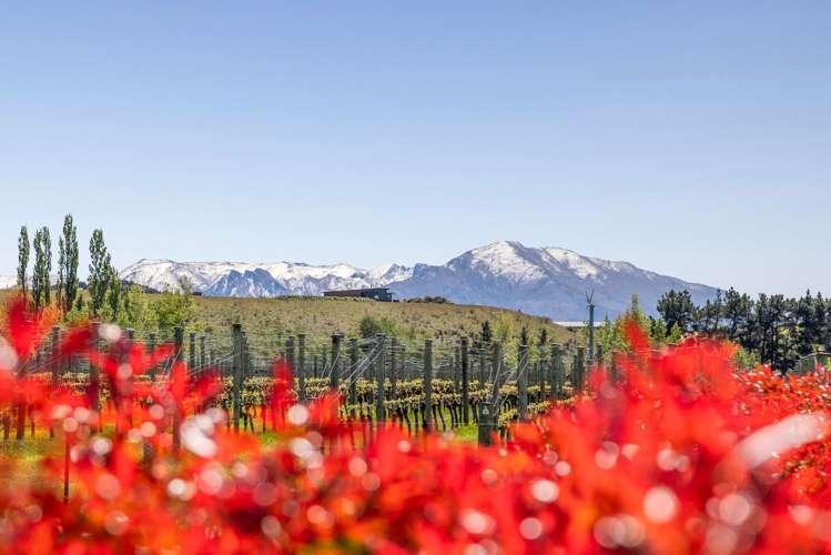 90 Willowbank Road Queensberry_11