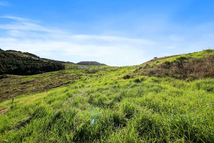 Lots 1&3/101 Brooklands Way Kaiwaka_11