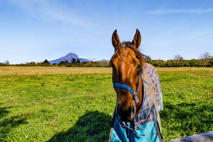 1284 Mountain Road Inglewood_41