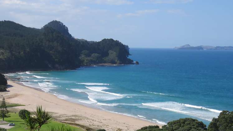 420 Onemana Drive Onemana_6