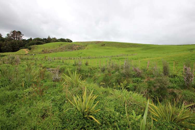 Lot 4 State Highway 1 Kaitaia_5