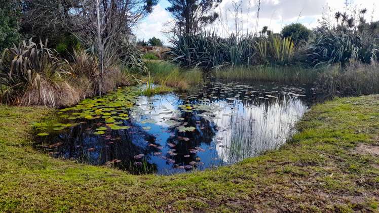 132 Pukewhai Road Kaingaroa_13