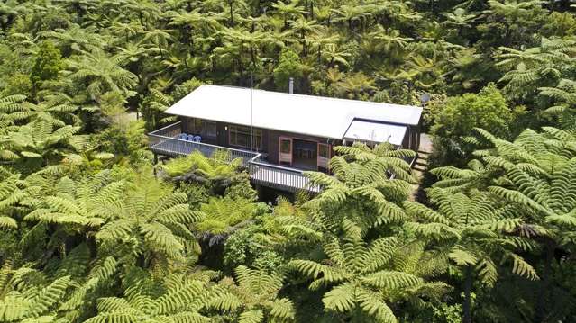 593 Bill Bryants Road Marlborough Sounds_4