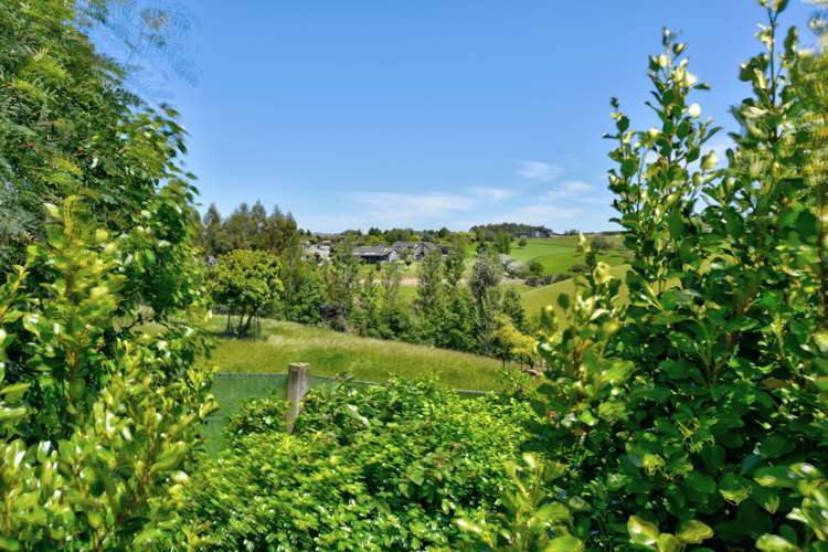 21 Willow Lane Gore_13