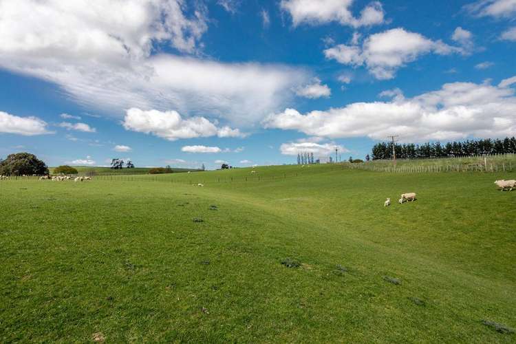 680 Cowper Road Dannevirke_20