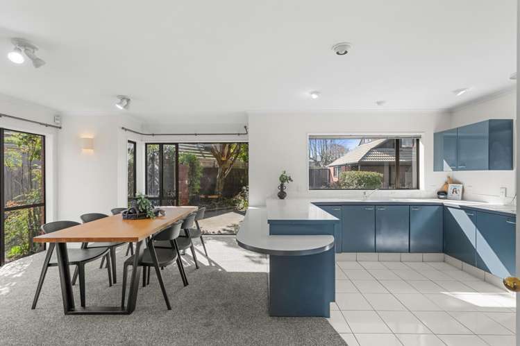 151d Clyde Road Burnside_7