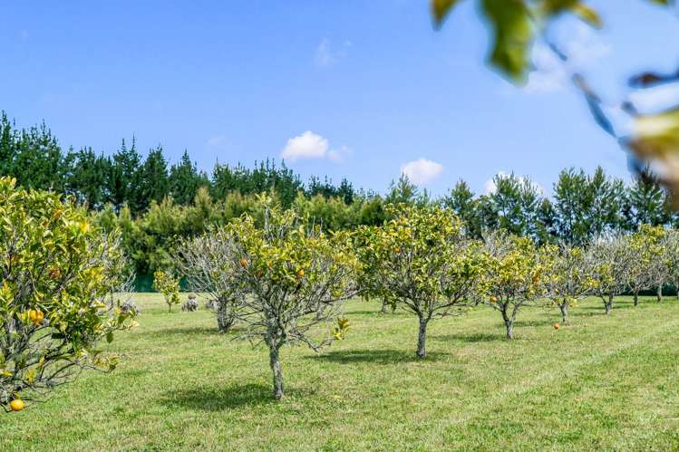 57 Amuri Road Kerikeri_27