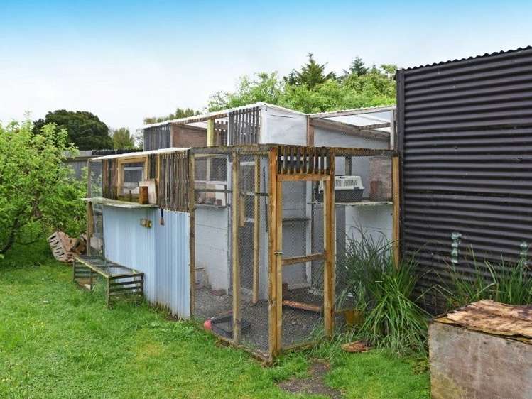 6 Hacker Street Masterton_11