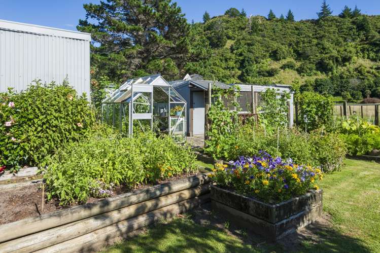 1 Forster Street Tolaga Bay_15