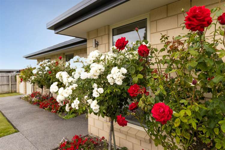 217 Taylor Pass Road Witherlea_17