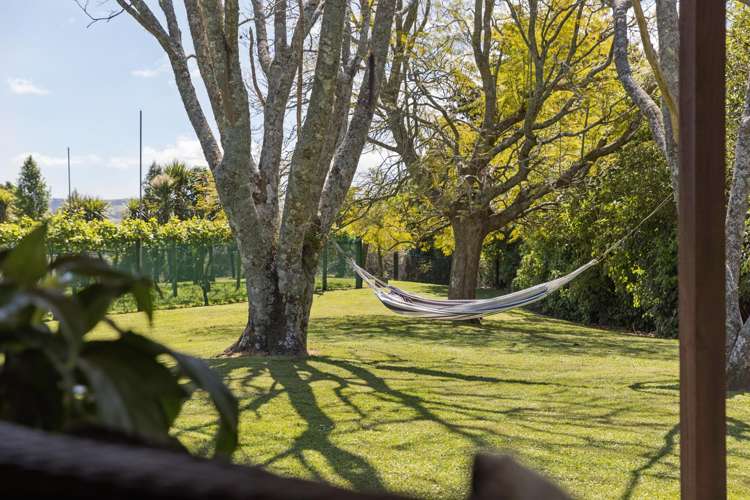 96D Jensen Road Omanawa_1