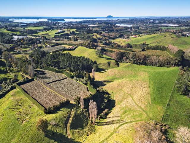 Cherished family estate - income and opportunity