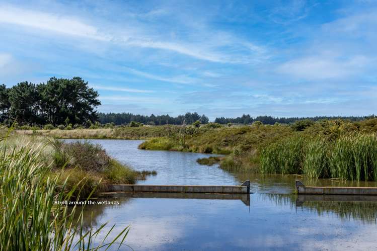 68 Tiritiri Moana Drive Pegasus_10