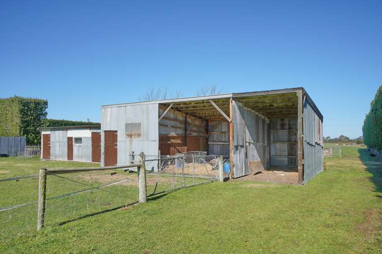 451 Johns Road Fernside_15