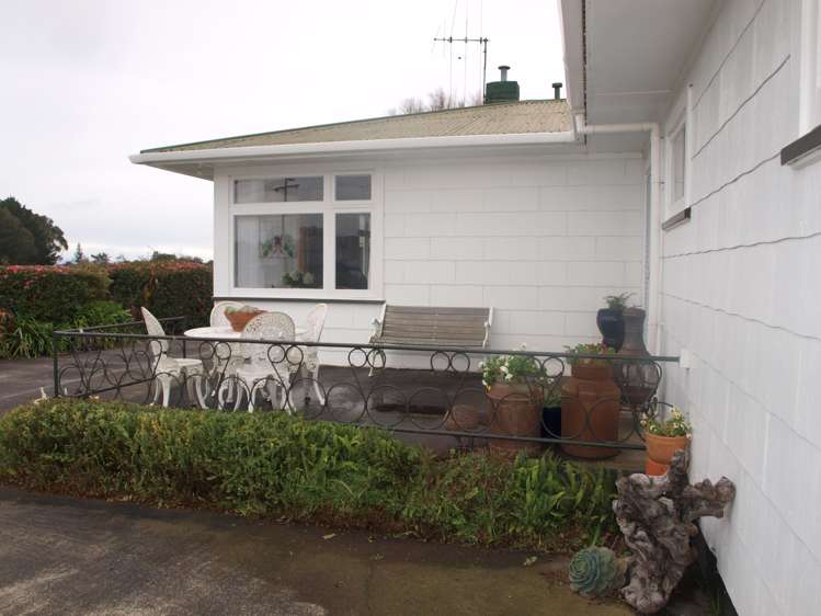 31 Flower Street Bulls_22